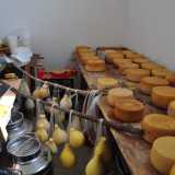 Qui ha sede un'azienda zootecnica che produce formaggio